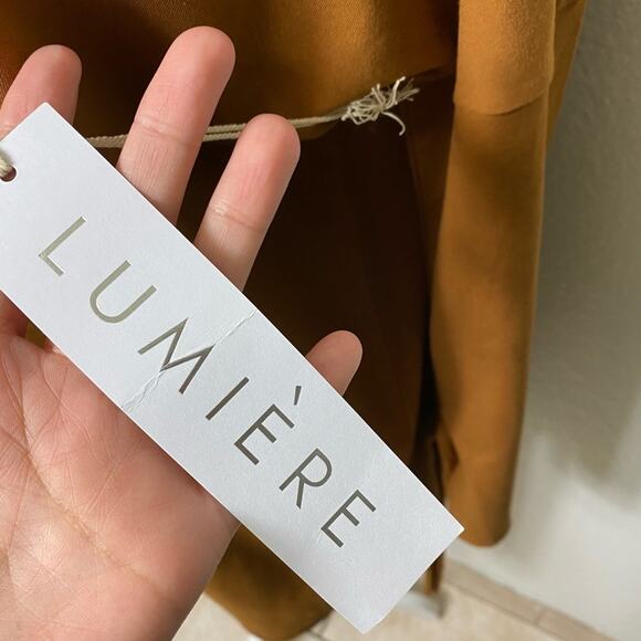 Lumiere Brown Fall Long Sleeve Women Large Dress BRAND NEW WITH TAGS - Picture 2 of 4